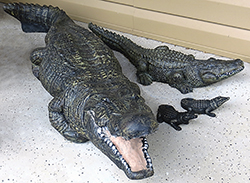 Don't Feed The Gators at PawPaw's Catfish Kitchen Restaurant